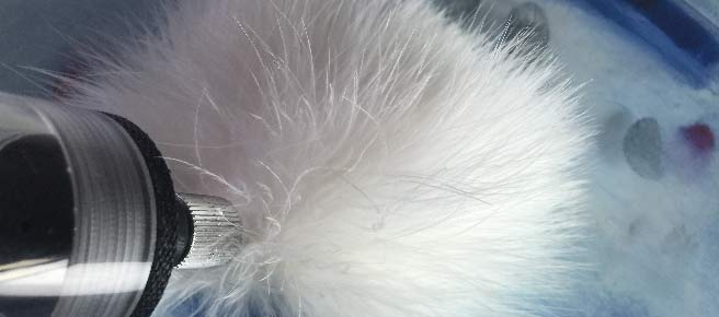 blower brush powders