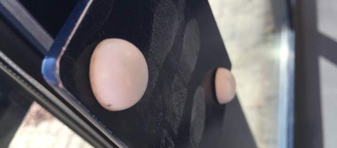 concentrated powders