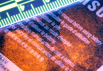 Polvos para huellas BVDA