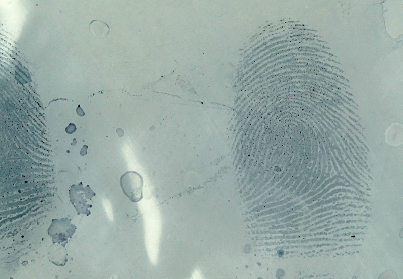 sudan black solvent black 3